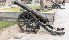 大炮真实爆料图片视频在线观看,图片视频在线观看全解析