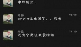 老岳爆料小虎视频大全在线观看,小虎视频大全在线观看全攻略