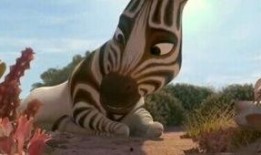 斑马电影在线观看,在线观影新体验，畅享视觉盛宴